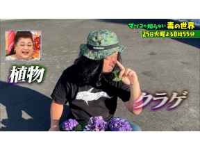 マツコの知らない世界 人類の未来を救う!? 毒の世界 第2弾!