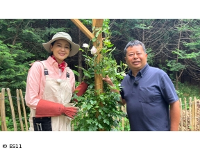 黒谷友香、お庭つくります　バラと暮らす庭作り〜河合伸志が教える実践メンテナンス〜