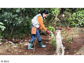 黒谷友香、お庭つくります　バラのお引越し!入口の模様替え大作戦〜ツバキ・サザンカ