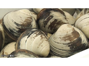 千原ジュニアの軽トラで食べるメシが一番ウマイ!!