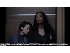 クリミナル・マインド１７　ＦＢＩ行動分析課：エボリューション #5