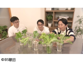 夢が咲く 有吉園芸　「誰でも簡単!水耕栽培&群馬県の体験型植物園を散策」