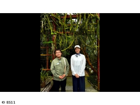 黒谷友香、お庭つくります　アンコール　牧野富太郎博士に学ぶ