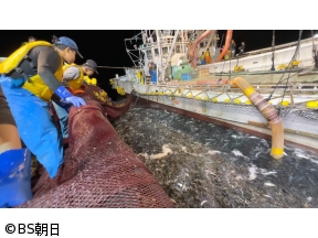 魚が食べたい!　「船が沈むほど!?大船団の巻き網漁に密着!」