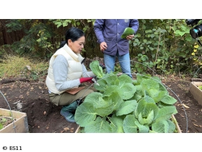 黒谷友香、お庭つくります　気になる野菜畑の収穫は?&苔玉づくりに挑戦