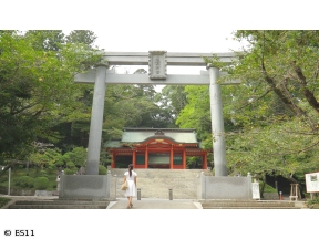 ごりやくさん　第18回「総集編」