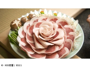 京都画報「冬のごちそう!京の鍋 -水炊き×ぼたん×すっぽん-」