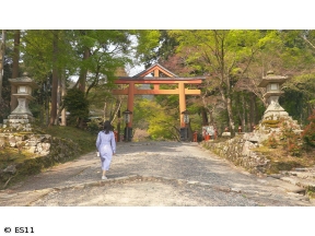 ごりやくさん　第32回「日吉大社」(滋賀)