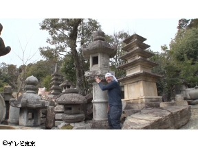 世界!ニッポン行きたい人応援団SP　「舞台裏に密着!日本庭園の魅力を徹底公開」