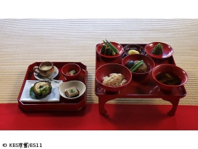 京都浪漫　悠久の物語【直木賞作家と歩く京都〜東林院・平安神宮・白峯神宮〜】