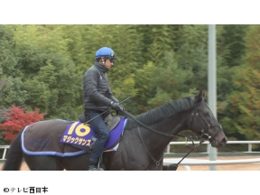 福岡NEWSファイル　CUBE特別編　和田毅さんと行く!京都ぶらり旅