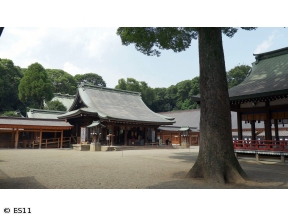 ごりやくさん　第3回「氷川神社」(埼玉)