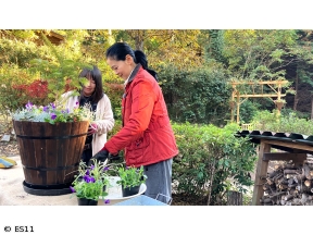 黒谷友香、お庭つくります　クリスマスに映える自然派寄せ植え&明石海峡公園で植栽