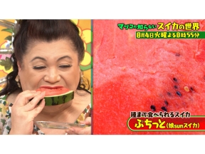 マツコの知らない世界【毎週火曜よる8時55分!マツコ仰天!驚きの世界】