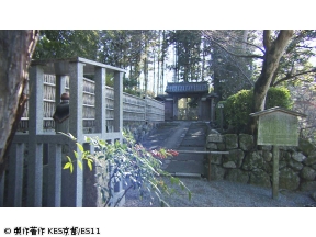 京都浪漫　悠久の物語「美しき京椿〜尼寺の名木をたずねて〜」