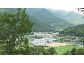 ガイアの夜明け【子供を起業家に育てる 密着！神山まるごと高専】