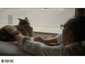 ネコメンタリー　猫も、杓子（しゃくし）も。　小路幸也とメイ