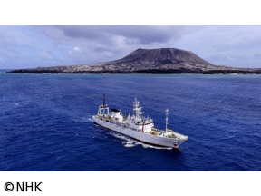 フロンティア　西之島　原始の島にいかにして生命が宿るのか