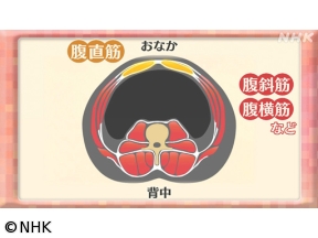 明日から使える　たちまち美姿勢（4）骨盤×ぽっこり下腹改善