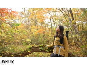 にっぽん百名山　宝の山は秋の彩り〜磐梯山〜