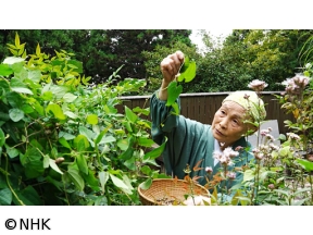やまと尼寺　精進日記　初物づくし　秋うまし