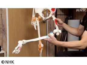 明日から使える　たちまち美姿勢（6）股関節×太ももシュッと