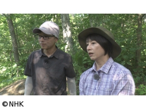 さわやか自然百景　新春特集　川の国　日本　水が紡ぐ命