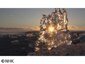 さわやか自然百景　新春特集　川の国　日本　水が紡ぐ命