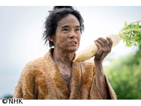 豊臣兄弟！　（1）二匹の猿