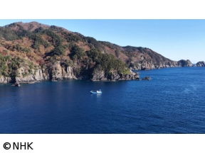 釣りびと万歳　ヒガレイは小突いて誘え〜どぶろっく・江口直人　岩手・大船渡〜