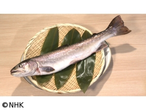 釣りびと万歳“越冬アメマス”を追え!　〜鈴木拓　北海道・釧路湿原〜