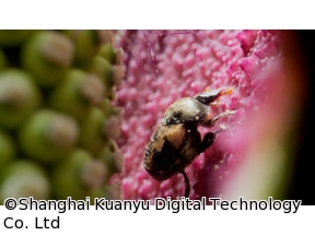 地球ドラマチック　シリーズ　中国　野生の楽園　悠久の武夷山