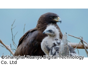 地球ドラマチック　シリーズ　中国　野生の楽園　悠久の武夷山