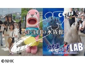 うなぎのぼりLAB　いま注目の水族館