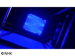 サイエンスZERO　色彩の科学へようこそ！「青」は調和と革新！？