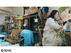 ネコメンタリー　猫も、杓子（しゃくし）も。　村山早紀と千花