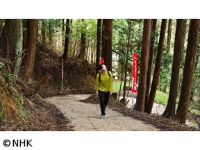 やまと尼寺　柄本佑の精進日記