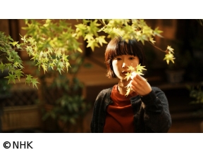 ドラマ　京都人の密かな愉しみ　Rouge-継承-(5)「まことの花」