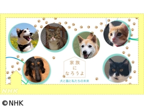 家族になろうよ　犬と猫と私たちの未来　第10弾