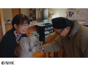 家族になろうよ　犬と猫と私たちの未来　第10弾