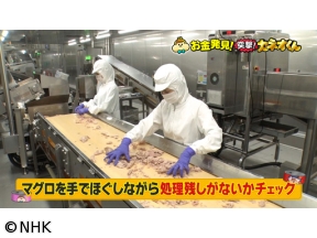 有吉のお金発見　突撃！カネオくん　おいしさへのこだわり満載！日本の缶詰SP
