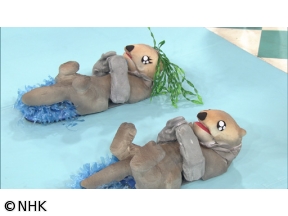 沼にハマってきいてみた▽ロボット好き必見！笑いあり涙ありのロボコン密着SP！