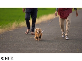 フロンティア　認知症“克服のカギ”を求めて