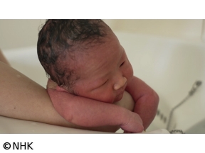 未解決事件　File．14　赤ちゃん取り違えの深層