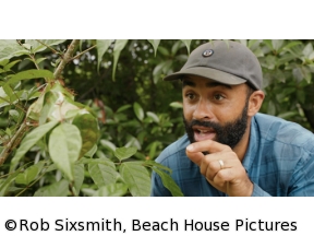 地球ドラマチック　動物たちのサバイバル術　オランウータンに学べ！