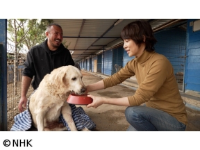 石田ゆり子　世界の犬と猫を抱きしめる〜トルコ編〜