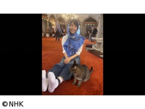 石田ゆり子　世界の犬と猫を抱きしめる〜トルコ編〜