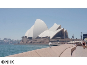 ダーウィンが来た！「シドニーで大繁栄！落ち葉で塚をつくる鳥」