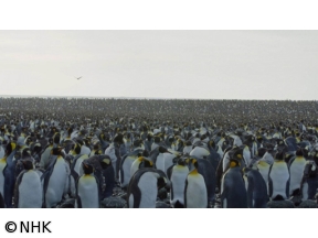 フロンティア　南極海漂流　超巨大氷山A23aを追う