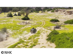 ダーウィンが来た！「幻の砂漠ライオン！孤高のメス　最後の物語」